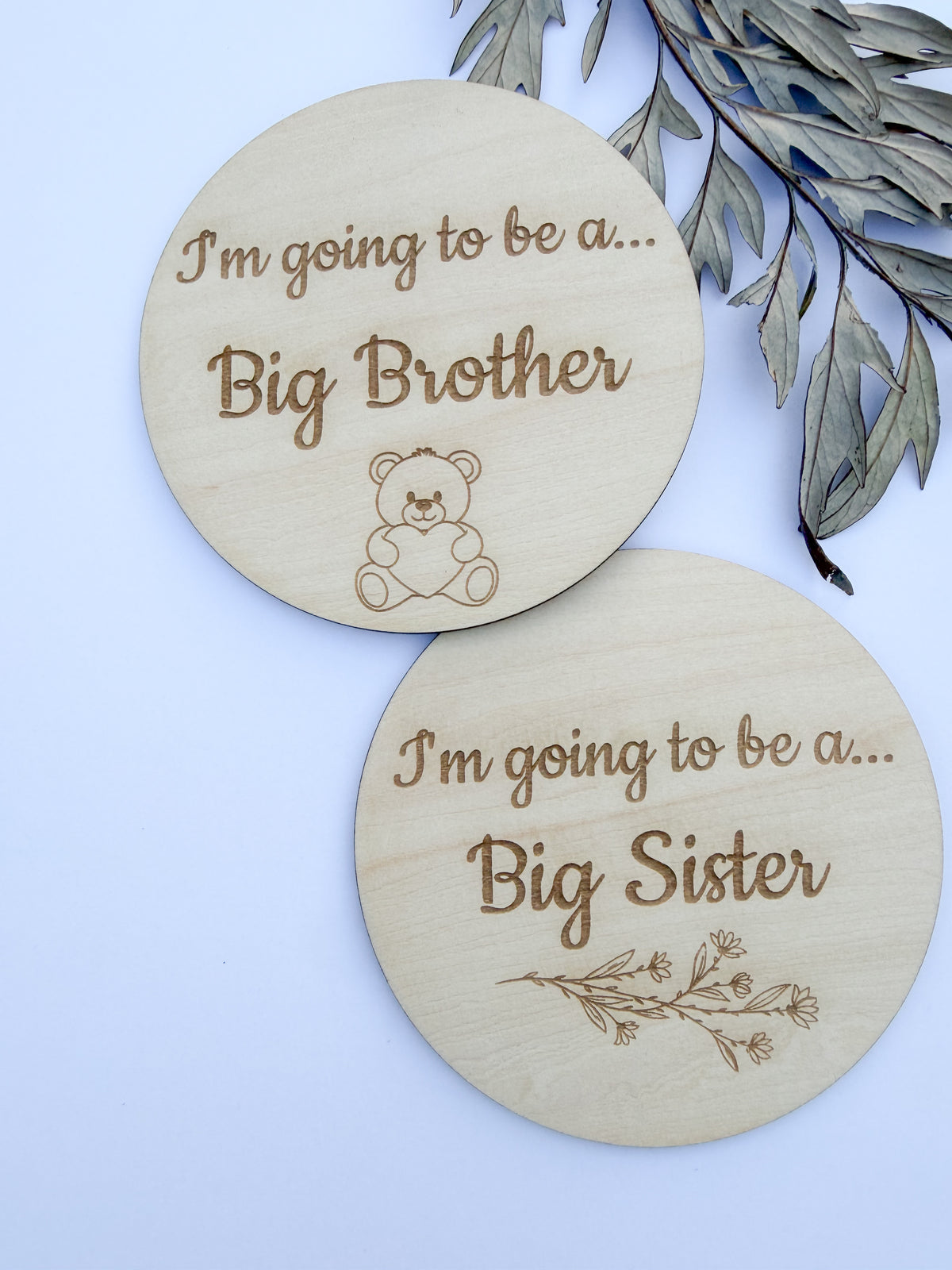 Pregnancy Announcement Disc for Big Sister/Brother.